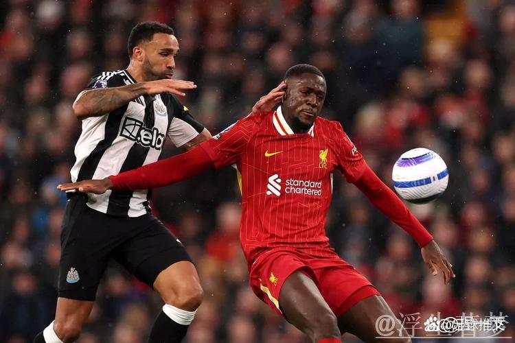 纽卡近15轮英超豪取33分,仅次于同期利物浦 纽卡近15轮英超豪取33分,仅次于同期利物浦